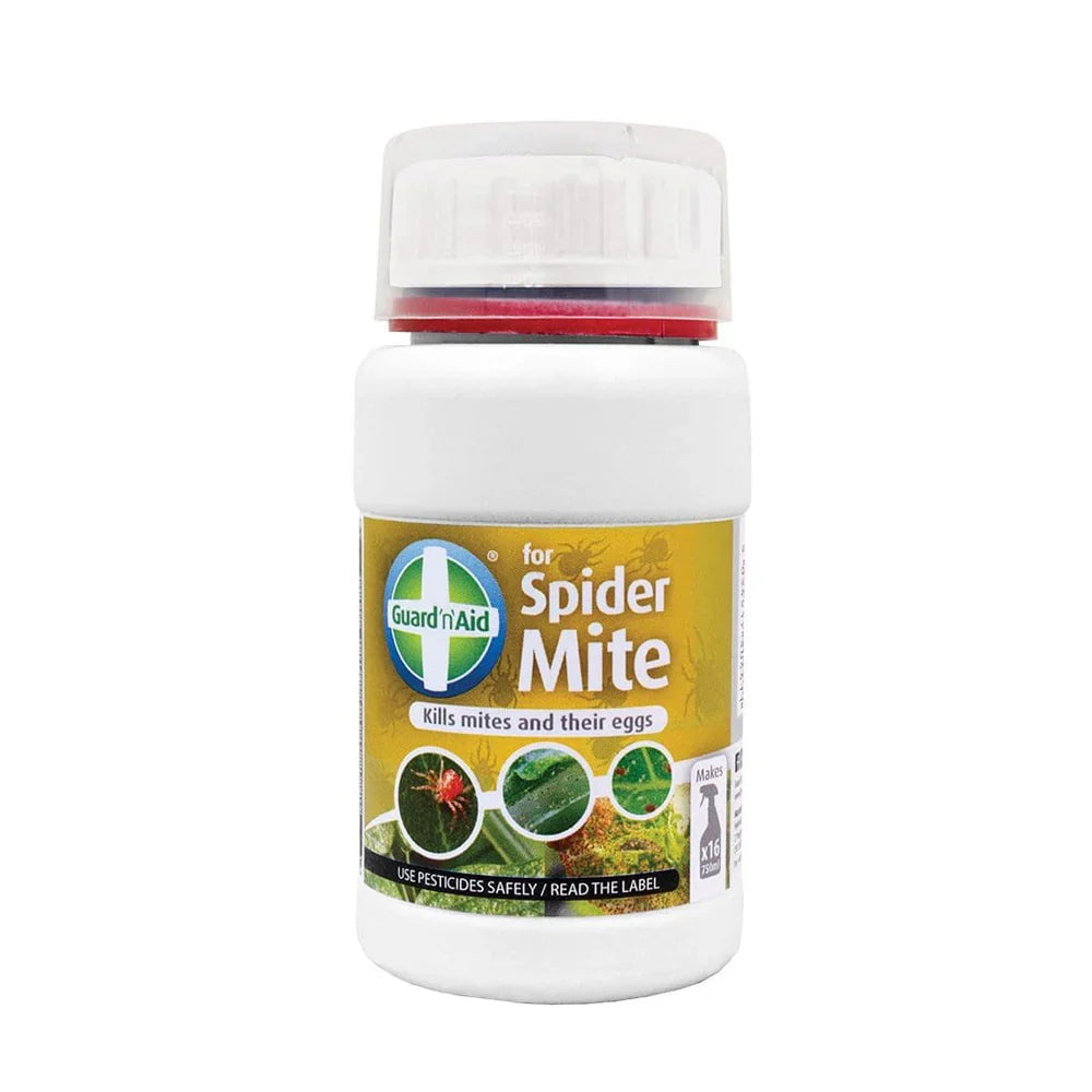 Spider Mite Control