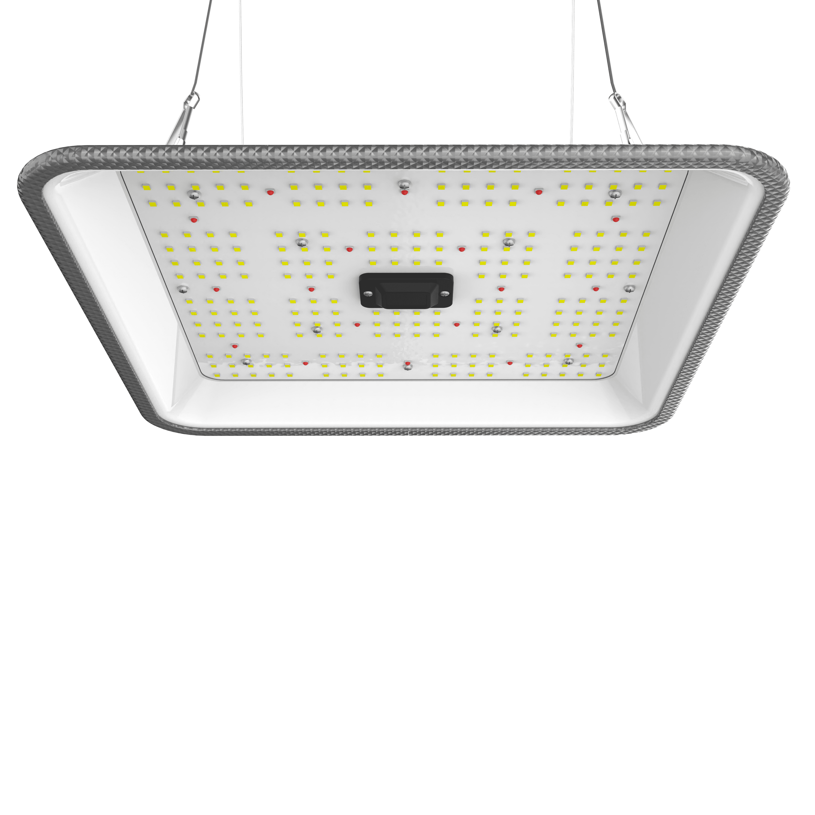 Bright 80W LED Grow Light
