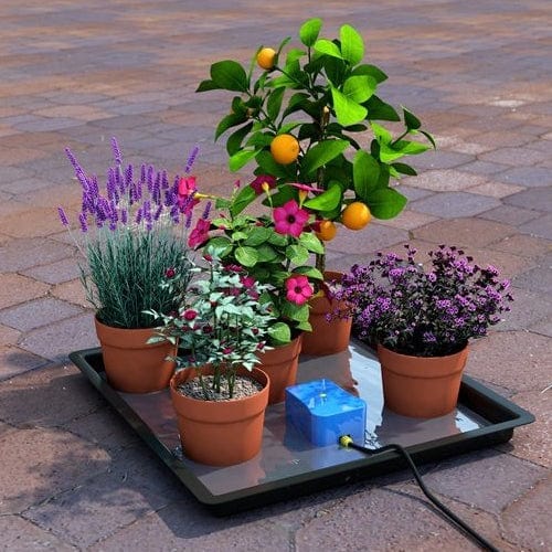 Autopot - Easy2Go Kit