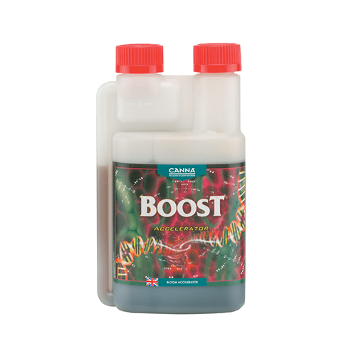 CANNA Boost Accelerator