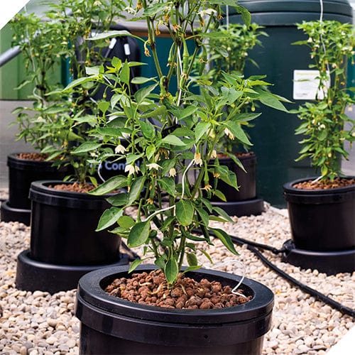 IWS Flood and Drain Pro Remote System