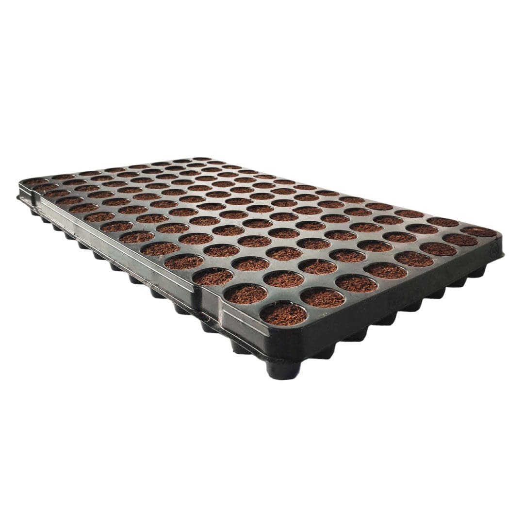 Plug Life Coco Peat Mix 104 Cells