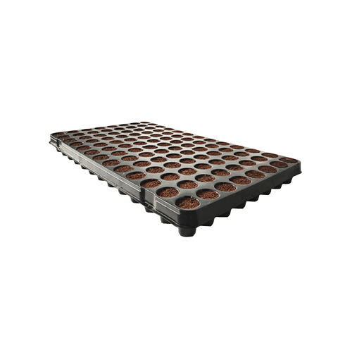 Plug Life Wood Fibre - 104 Cells