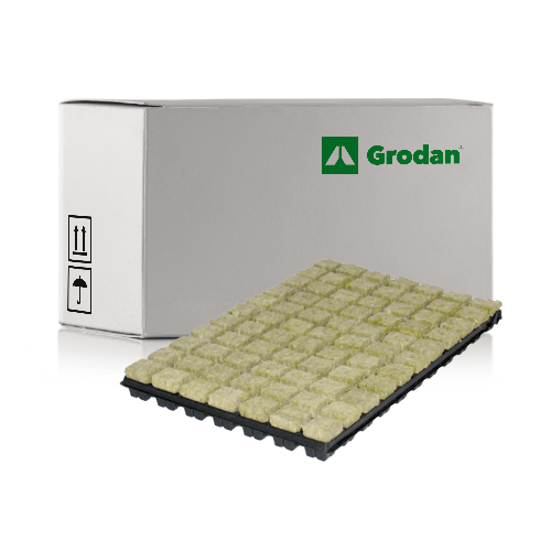 Grodan Rockwool SBS Tray