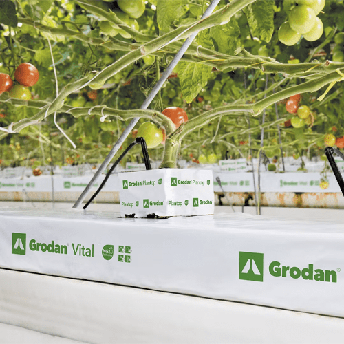 Grodan Vital Slab