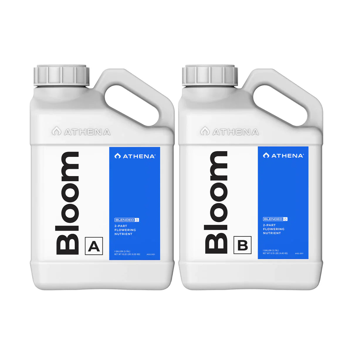 Athena Blended Bloom AB