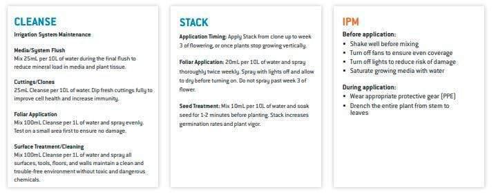 Athena Blended Bloom AB