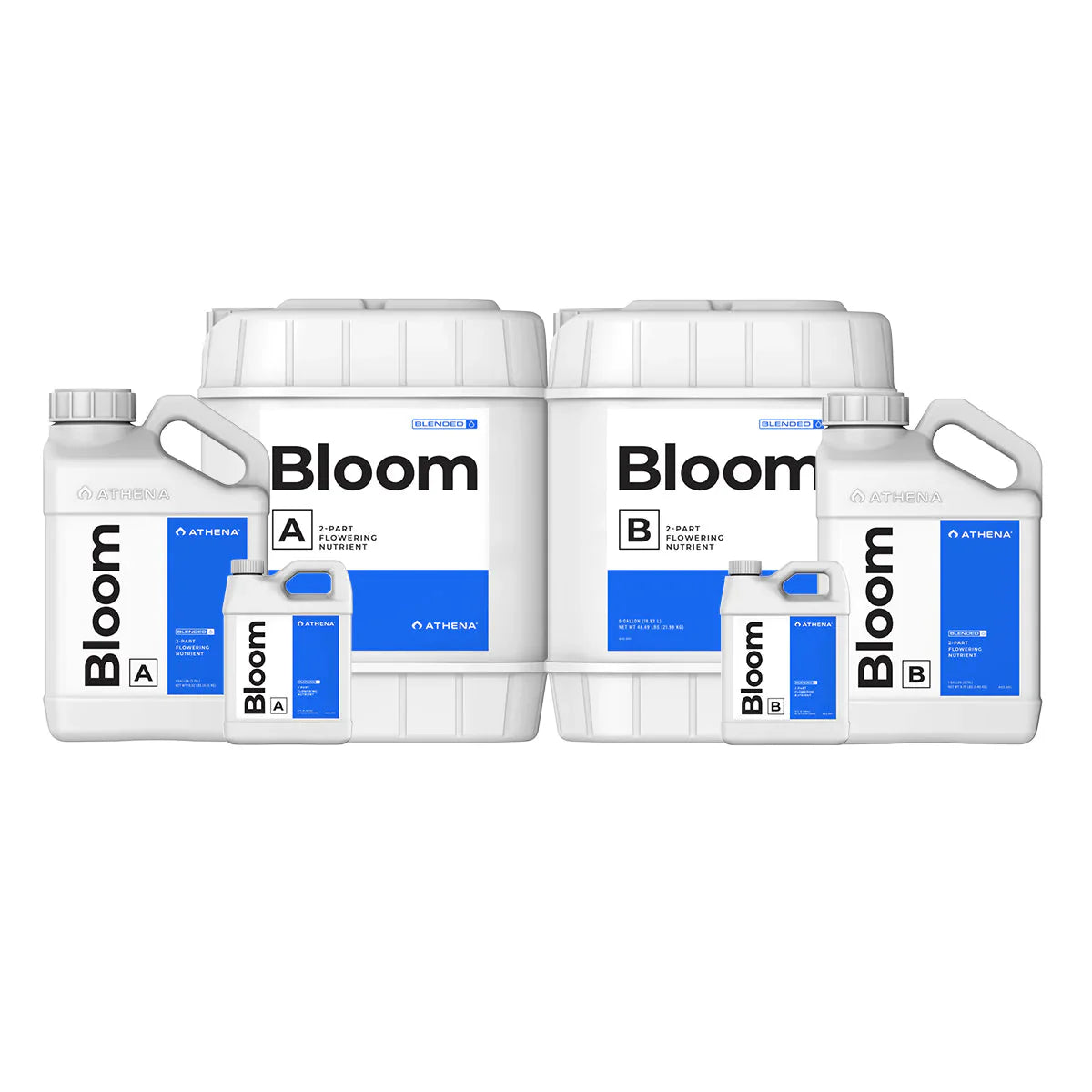 Athena Blended Bloom AB