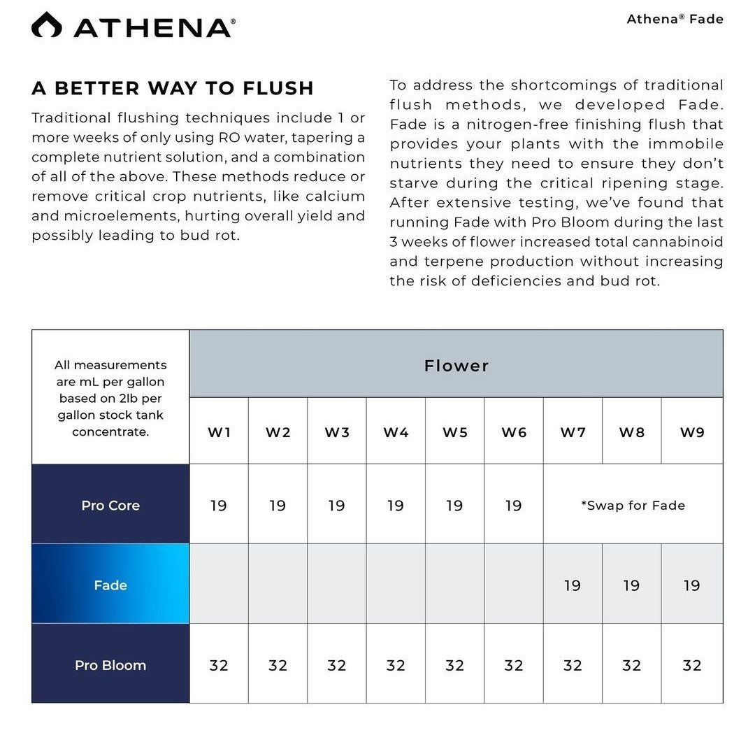 Athena Fade