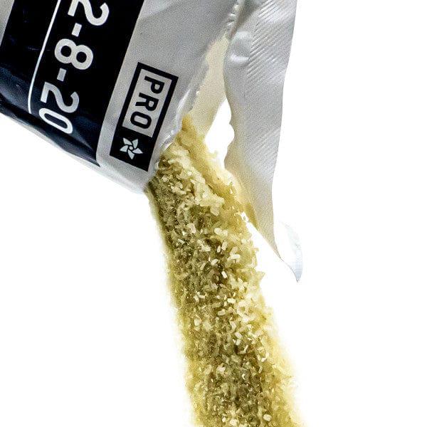 Athena Pro Line Bloom