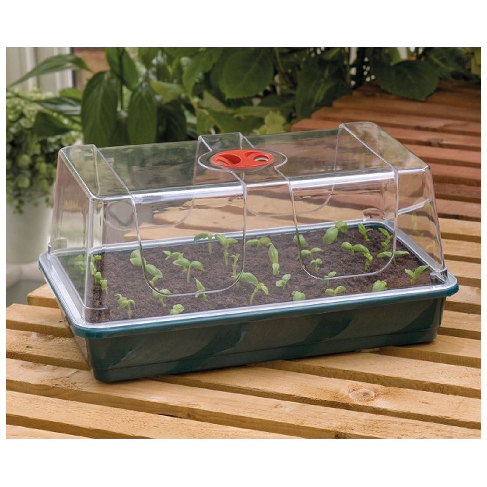 Garland Premium Propagators