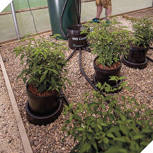 IWS Flood and Drain Standard System
