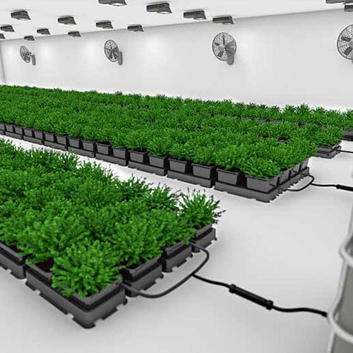 Autopot Easy2Grow