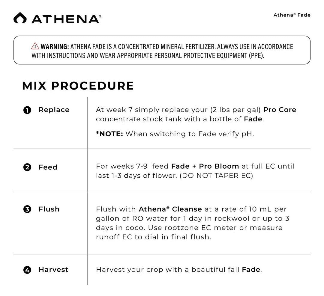 Athena Fade