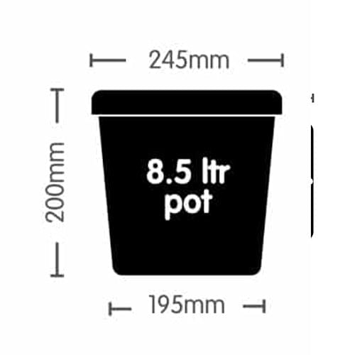 Autopot Easy2Grow